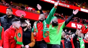 Moroccan football fans celebrate passionately in vibrant red and green attire, cheering energetically with scarves at a stadium.