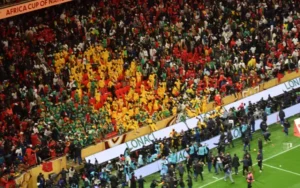 Vibrant stadium crowd celebrating at the Africa Cup of Nations, showcasing a mosaic of yellow, green, and red colours amid a lively atmosphere.