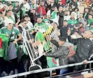 Des fans passionnés en vert et blanc célèbrent, tenant des drapeaux et agitant joyeusement dans les tribunes, créant une atmosphère de football animée.