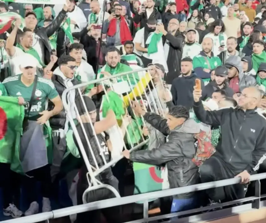 Des fans passionnés en vert et blanc célèbrent, tenant des drapeaux et agitant joyeusement dans les tribunes, créant une atmosphère de football animée.