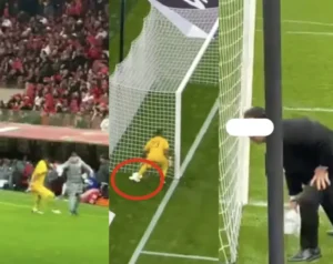 Scène de célébration avec des supporters en rouge ; le gardien de but en jaune est accroupi près du poteau, tandis qu'un entraîneur gesticule en bord de terrain.