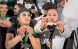 Des supporters algériens brandissent avec passion un billet, célébrant lors de la Coupe d'Afrique, arborant les couleurs de leur équipe et des expressions pleines d'enthousiasme.