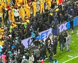 Crowd of fans and journalists in black jackets and yellow attire, celebrating at a football match, with a vibrant pitch in view.