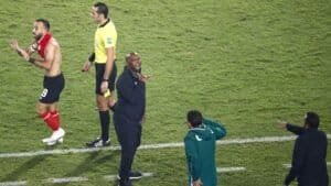 بلوزداد يتفاوض مع بيتسو موسيماني قبل مواجهة الزمالك